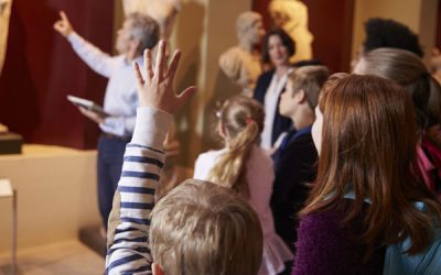 Musea beeldcoaching + feedback